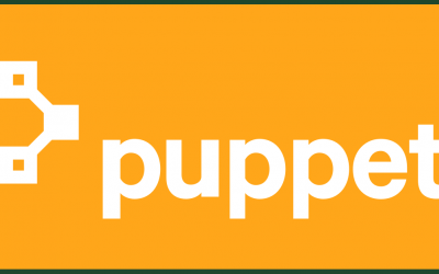 Puppet Quick Setup Guide (Part 2) – How to Configure Puppet Master