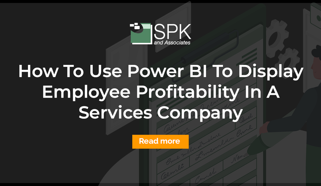 How To Use Power BI To Display Employee Profitability In A Services Company