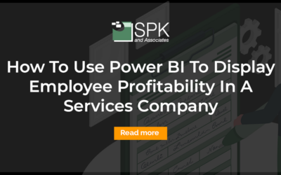 How To Use Power BI To Display Employee Profitability In A Services Company