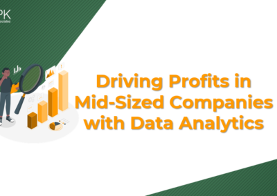 Driving Profits in Mid-Sized Companies with Data Analytics