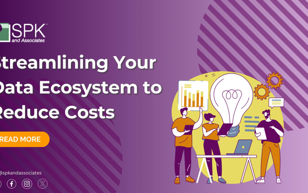 Streamlining Your Data Ecosystem to Reduce Costs