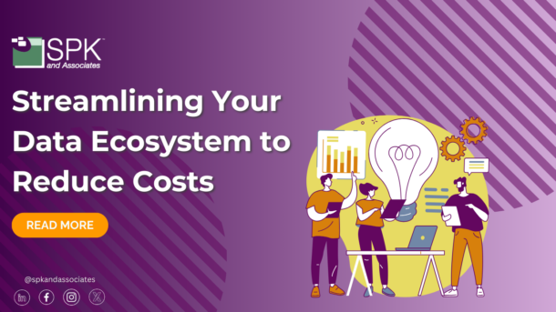 Streamlining Your Data Ecosystem to Reduce Costs