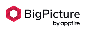 big-picture-logo